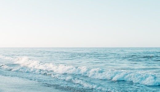 お知らせテスト投稿1